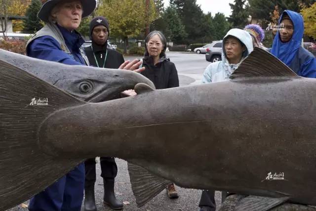 希拉里移民了吗,希拉里移民后的现状
