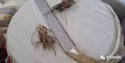 火炙客家娘酒制作过程,客家娘酒酿造视频教程