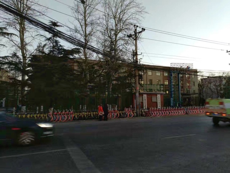 共享单车谁是老大？看谁占道多啊