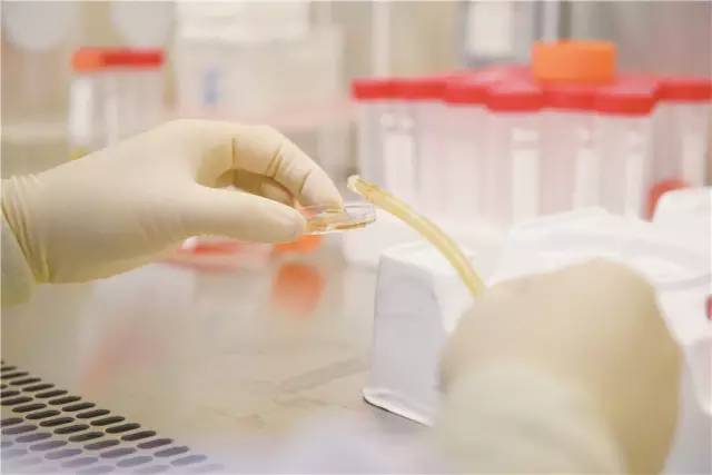 「社会·城事」嘉定的上海细胞治疗集团与斯坦福放疗中心“牵手”