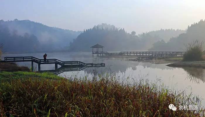 特大好消息！余杭人去这个AAAA*级A**景区，门票全部免！免！免！