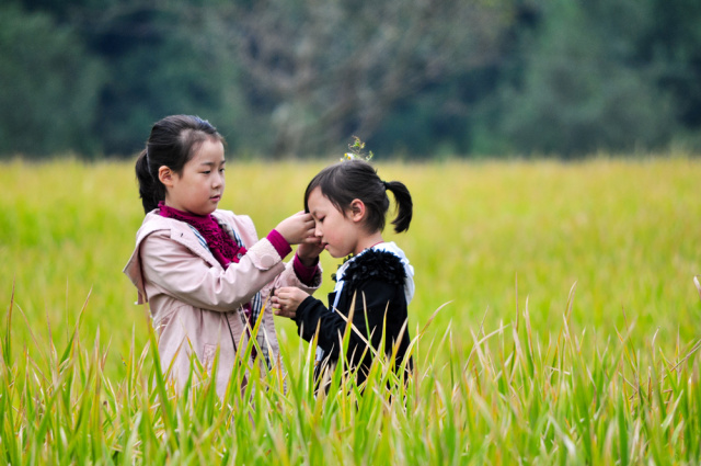 全国首届手机摄影大赛征稿,第二届全国手机摄影作品展