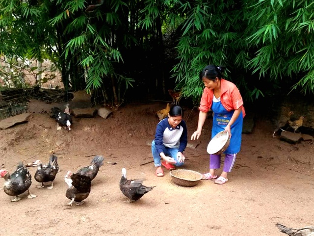 全国首届手机摄影大赛征稿,第二届全国手机摄影作品展