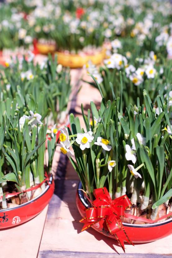 人越怕长大越怕过年,为什么你越长大越孤单