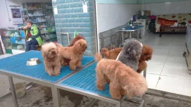 呕心整理!成都人年货采购地点最全攻略都在这!赶紧收藏!