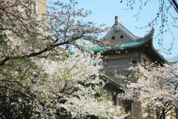 中国最美的大学武汉大学,中国最美大学武汉大学