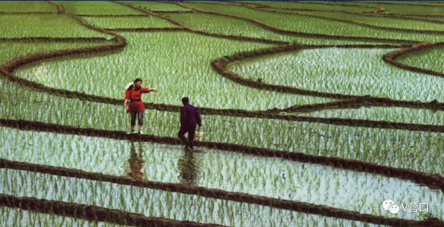 熊岳入选国家美丽宜居小镇示范,营口还有3个村榜上有名