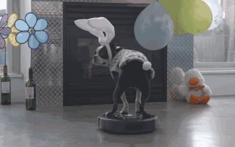 你是真精致还是穷讲究,就看你舍不舍得给自己买这13件东西了