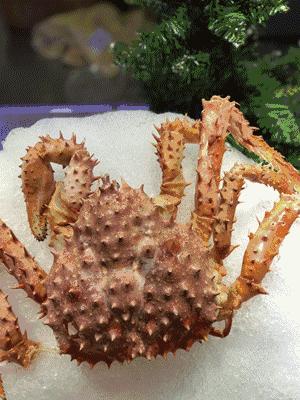 「订年夜饭赠波士顿龙虾」2017这么吃年夜饭最霸气!从没想过一顿自助,竟然吃几口就回本了……谁也别拦着我!今年就要在这儿吃!