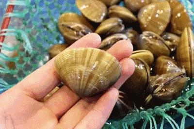 「订年夜饭赠波士顿龙虾」2017这么吃年夜饭最霸气！从没想过一顿自助，竟然吃几口就回本了……谁也别拦着我！今年就要在这儿吃！