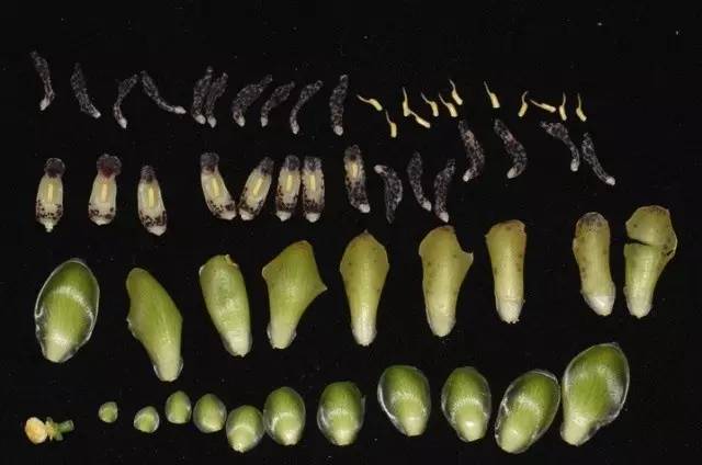 APGIV系统学习笔记分享（四）