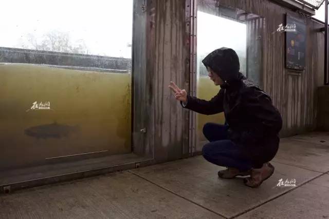 希拉里移民了吗,希拉里移民后的现状