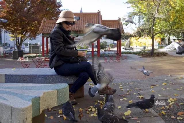 希拉里移民了吗,希拉里移民后的现状