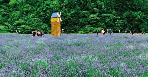 义乌好看的地方视频,义乌这些地方你都去过吗