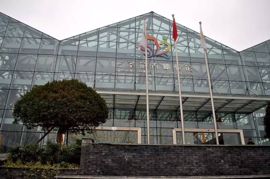 过年好看的年宵花,年宵花摆什么好看