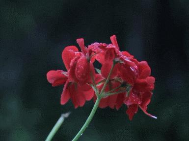 从意大利到巴黎,从意大利到法国