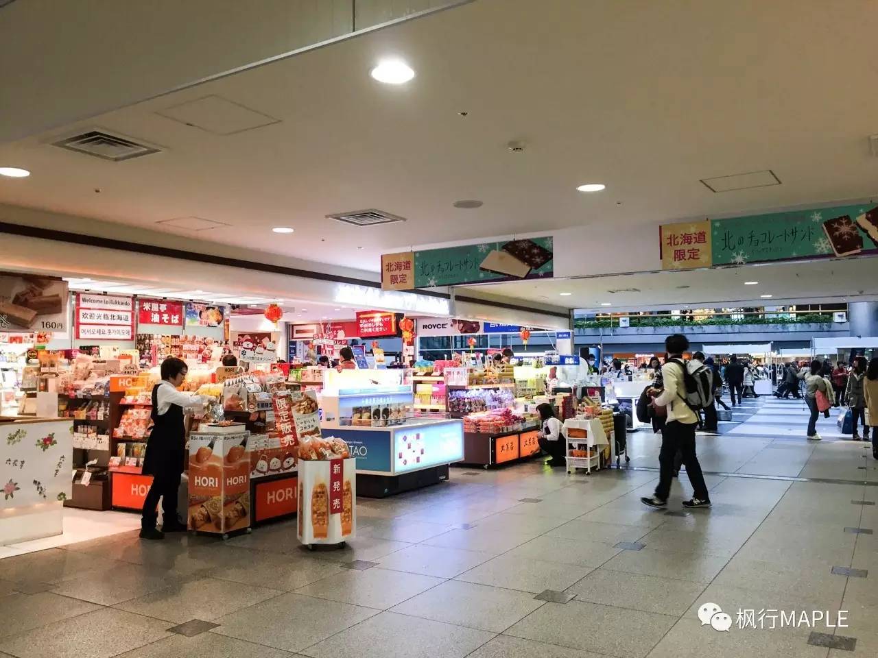 札幌｜北海道第一大城市的购物心经