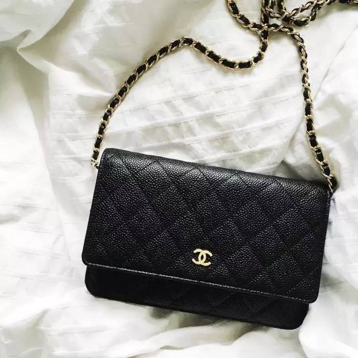 最受女生欢迎的十大包包排行榜,女士皮夹子什么牌子好