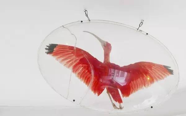 聂鲁达说，没有玩具我就没法活！那么，来看看大诗人怎么活的吧