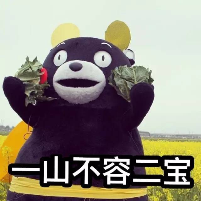 一年级邵明明现状,邵明明收官宴