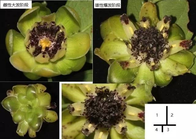 APGIV系统学习笔记分享（四）