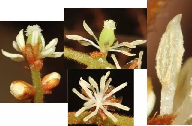 APGIV系统学习笔记分享（四）