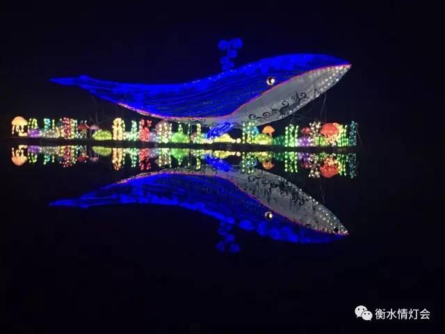 衡水电视台晚会,衡水电视台春节联欢晚会2024年