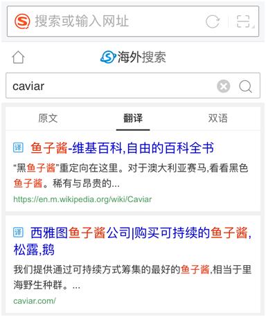 搜狗浏览器海外,搜狗海外英语搜索