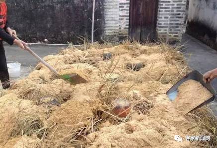 火炙客家娘酒制作过程,客家娘酒酿造视频教程