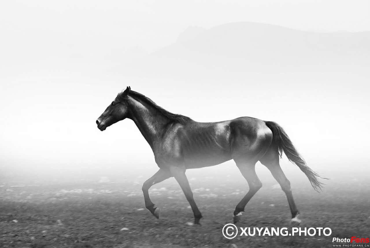 鍐ぉ绛栭┈濂旇吘瑙嗛,鍐棩鑽夊師楠戦┈瑙嗛绛栭┈濂旇吘