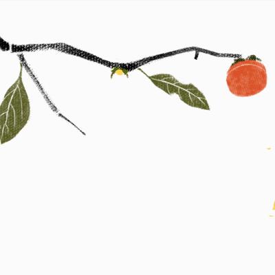 圆桌派舌尖上的中外美食,圆桌派舌尖上的陈晓卿