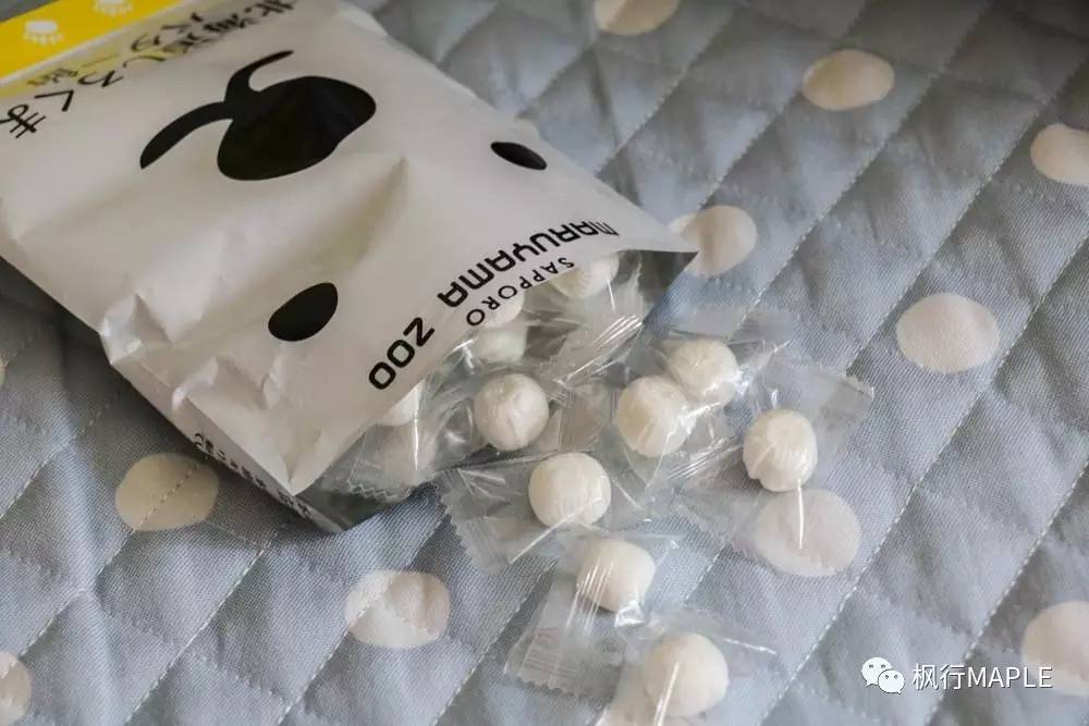 札幌｜北海道第一大城市的购物心经