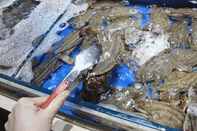 「订年夜饭赠波士顿龙虾」2017这么吃年夜饭最霸气！从没想过一顿自助，竟然吃几口就回本了……谁也别拦着我！今年就要在这儿吃！