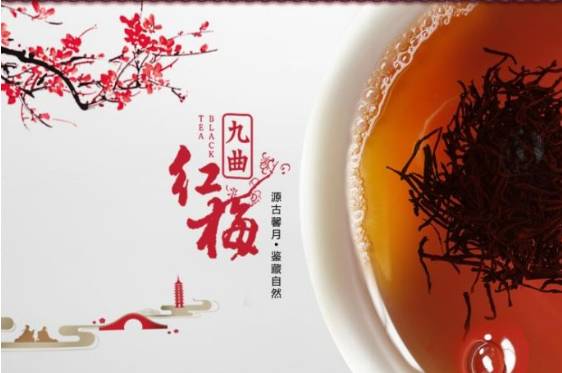 二马茶文化｜工夫红茶之九曲红梅