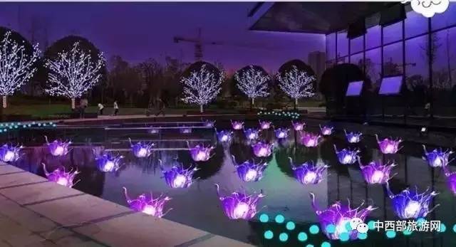 「乐在囧途」赏腊梅、逛庙会、看灯光展,这个春节带着家人去鄢陵吧!