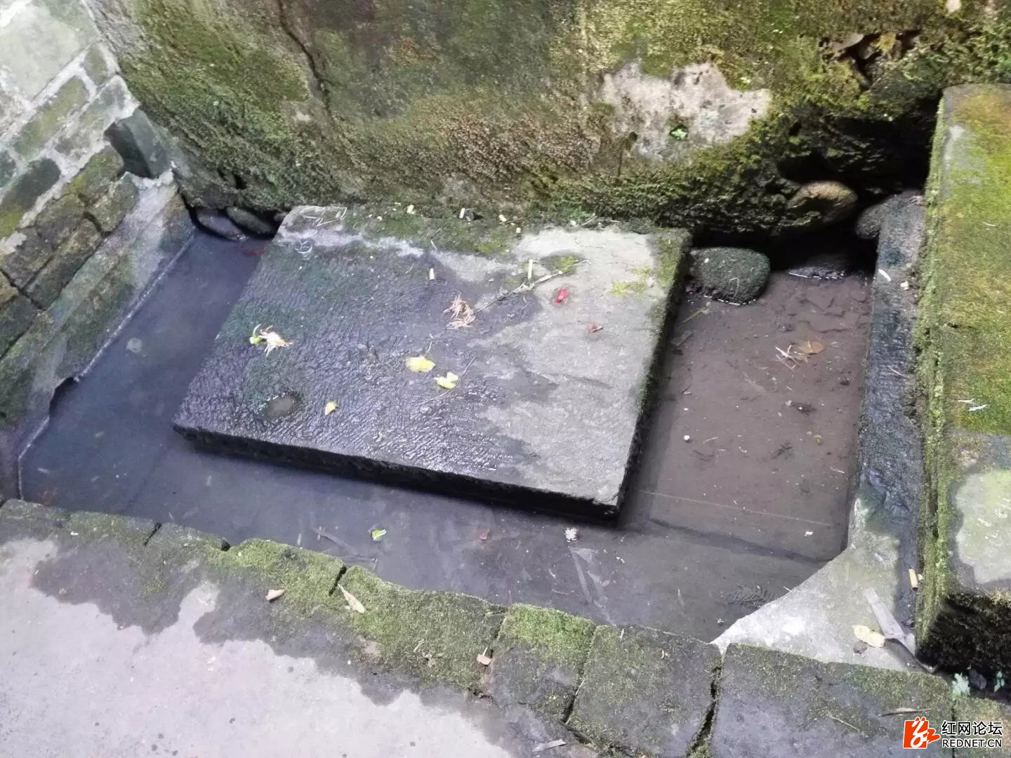 <html>
<head><title>502BadGateway</title></head>
<body>
<center><h1>502BadGateway</h1></center>
<hr><center>nginx</center>
</body>
</html>
<!--apaddingtodisableMSIEandChromefriendlyerrorpage-->
<!--apaddingtodisableMSIEandChromefriendlyerrorpage-->
<!--apaddingtodisableMSIEandChromefriendlyerrorpage-->
<!--apaddingtodisableMSIEandChromefriendlyerrorpage-->
<!--apaddingtodisableMSIEandChromefriendlyerrorpage-->
<!--apaddingtodisableMSIEandChromefriendlyerrorpage-->
