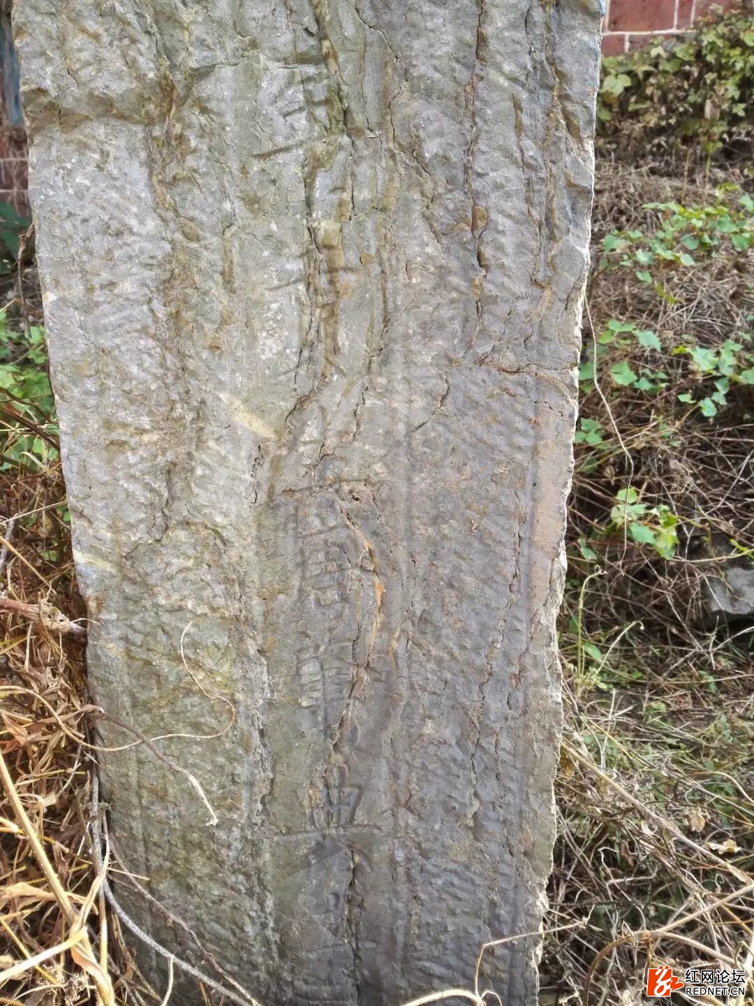 <html>
<head><title>502BadGateway</title></head>
<body>
<center><h1>502BadGateway</h1></center>
<hr><center>nginx</center>
</body>
</html>
<!--apaddingtodisableMSIEandChromefriendlyerrorpage-->
<!--apaddingtodisableMSIEandChromefriendlyerrorpage-->
<!--apaddingtodisableMSIEandChromefriendlyerrorpage-->
<!--apaddingtodisableMSIEandChromefriendlyerrorpage-->
<!--apaddingtodisableMSIEandChromefriendlyerrorpage-->
<!--apaddingtodisableMSIEandChromefriendlyerrorpage-->
