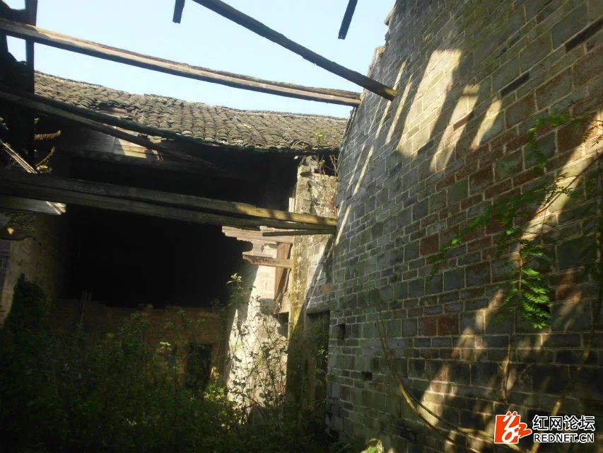 <html>
<head><title>502BadGateway</title></head>
<body>
<center><h1>502BadGateway</h1></center>
<hr><center>nginx</center>
</body>
</html>
<!--apaddingtodisableMSIEandChromefriendlyerrorpage-->
<!--apaddingtodisableMSIEandChromefriendlyerrorpage-->
<!--apaddingtodisableMSIEandChromefriendlyerrorpage-->
<!--apaddingtodisableMSIEandChromefriendlyerrorpage-->
<!--apaddingtodisableMSIEandChromefriendlyerrorpage-->
<!--apaddingtodisableMSIEandChromefriendlyerrorpage-->
