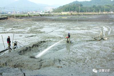 虾塘翻耕后怎么操作,养殖结束后塘口怎么打理