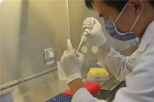 「社会·城事」嘉定的上海细胞治疗集团与斯坦福放疗中心“牵手”