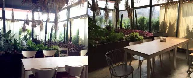 大连情侣游玩约会好去处,大连冬天情侣约会场所