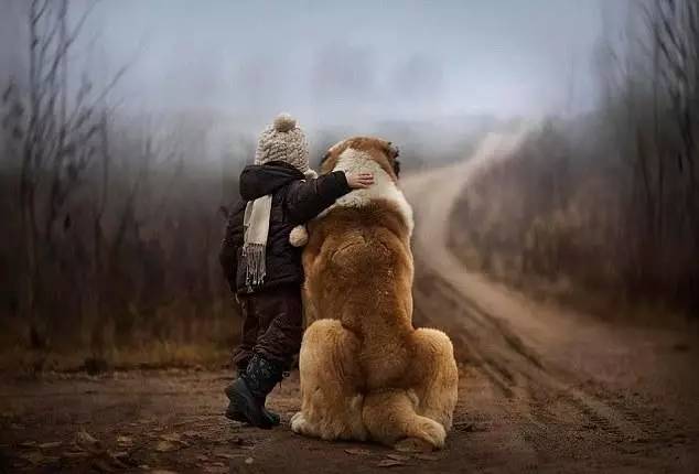 得了巨食道症（Megaoesophagus）的狗