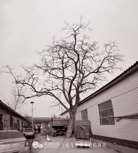 一千零一夜主题曲,一千零一夜是中国的吗