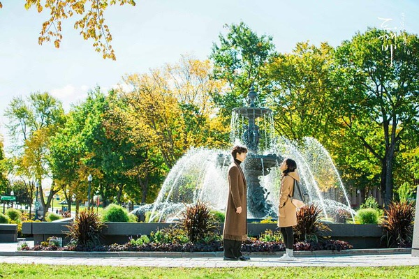 《鬼怪》大结局收视率突破20%成为tvN历代电视剧收视一位