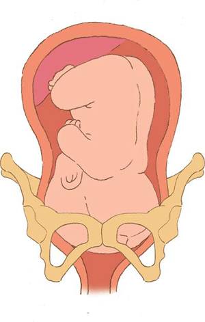 「科普」剖腹产的女明星那么多,为啥瘦小的“教主夫人”(杨颖)却能顺产?