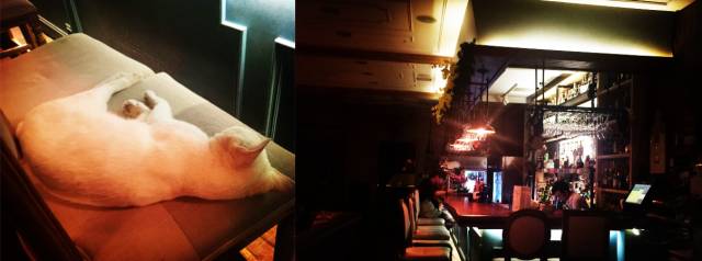 大连情侣游玩约会好去处,大连冬天情侣约会场所