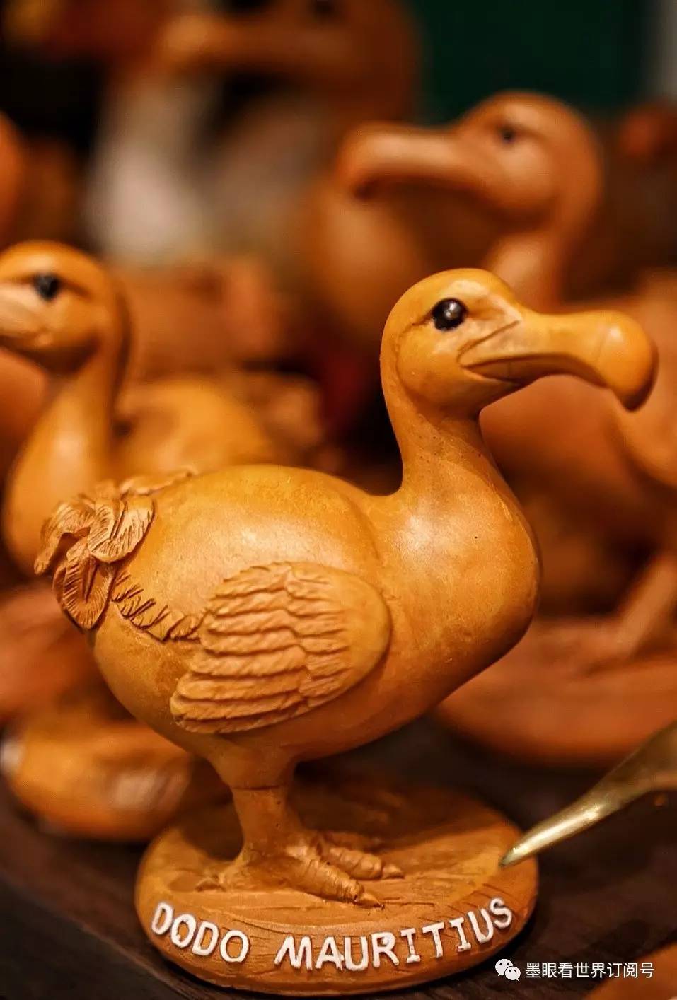 毛里求斯幸福的天堂完整版,天堂的故乡毛里求斯