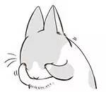 缇庡浗鎬荤粺鐧藉瀹濆骇,缇庡浗鍘嗕换鎬荤粺鍏ヤ富鐧藉