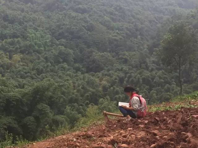 全国首届手机摄影大赛征稿,第二届全国手机摄影作品展