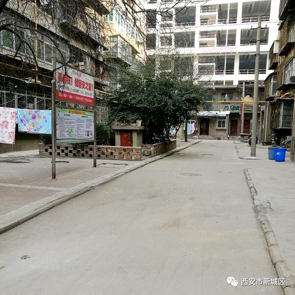 院长大搞翻新改造工程,院长翻天覆地的生活